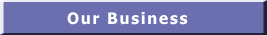 Our Business